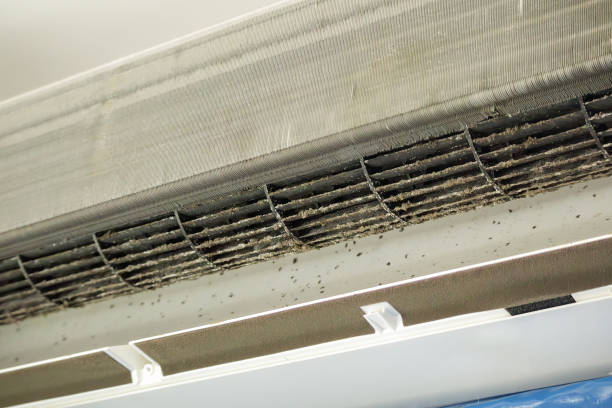 Best HVAC System Cleaning  in Alondra Park, CA