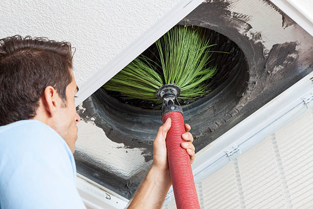 Best Home Air Vent Cleaning  in Alondra Park, CA